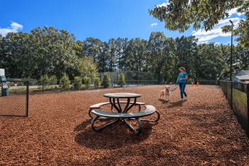 Bark park